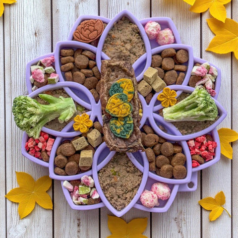 Mandala Slow Feeder Dog Bowl – Soft Silicone ETray With Suction Cups | Made in USA SodaPup  ETRAY