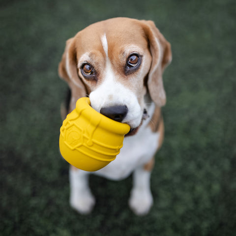 Durable PUP-X Rubber Treat Dispenser Toy – Honey Pot Design | Made in USA SodaPup  Rubber Dog Toys