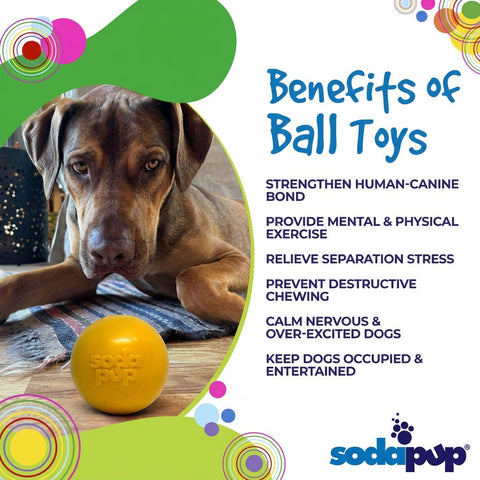 Chew Proof Floating Dog Fetch Ball – Durable Squeaker Toy 3 Inch | Made in USA SodaPup  Rubber Dog Toys