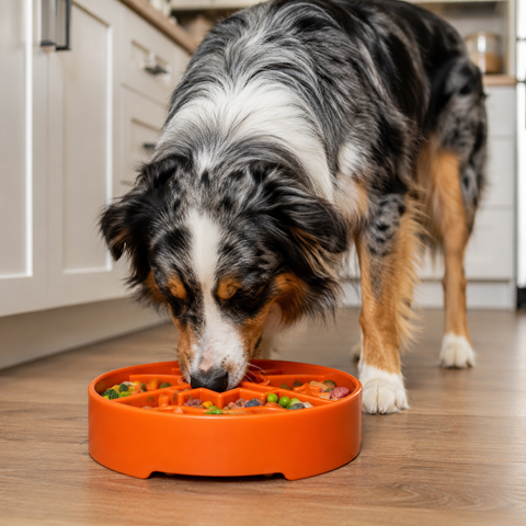 Great Outdoors Enrichment Slow Feeder Dog Bowl – Interactive Pet Dish | Made in USA SodaPup  EBOWL