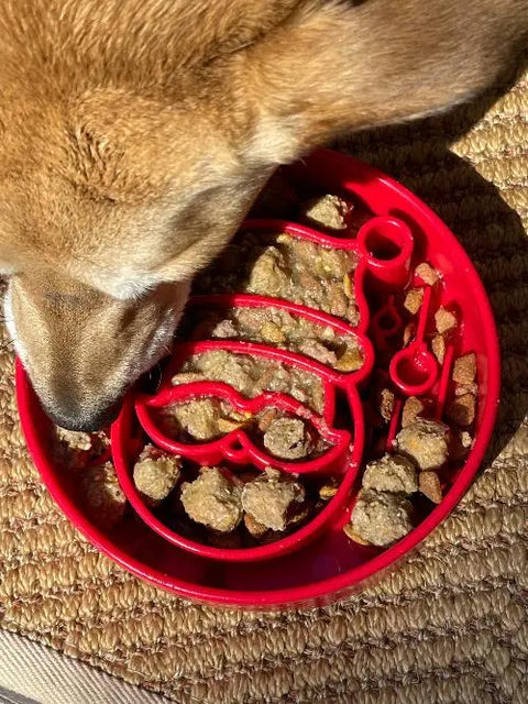 A dog enjoys enrichment as it eats from the SodaPup Santa Design EBowl Enrichment Slow Feeder Bowl, filled with wet and dry food, resting on a textured brown surface with sunlight casting gentle shadows.
