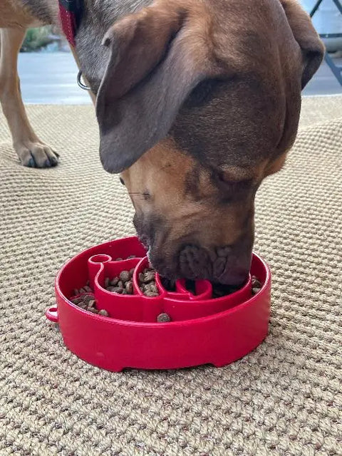 A brown dog enjoys kibble from a SodaPup Santa Design EBowl Enrichment Slow Feeder Bowl on a textured beige rug, turning mealtime into a fun enrichment activity.
