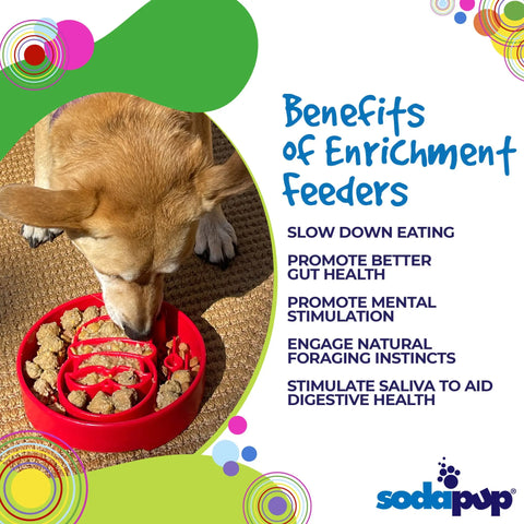 A dog eats from a red Santa Design EBowl Enrichment Slow Feeder Bowl by SodaPup. Text highlights benefits: slows eating, promotes gut health, encourages mental stimulation, supports foraging instincts, and boosts saliva for digestion.