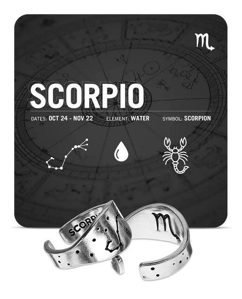 Scorpio Zodiac Ring – Recycled Pewter Astrology Jewelry | Made in USA Celestial Signet Whitney Howard Designs  Zodiac Rings