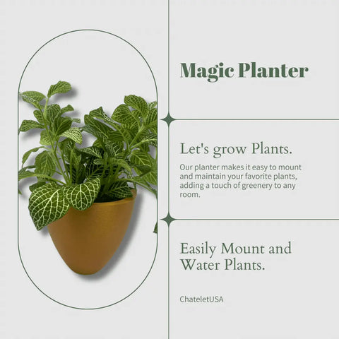 A wall-mounted tan planter with green leafy plants, alongside text promoting Magic Wall Planters by Chatelet Manufacturing. Features include easy mounting, self-watering with an internal reservoir, and effortless indoor plant care.