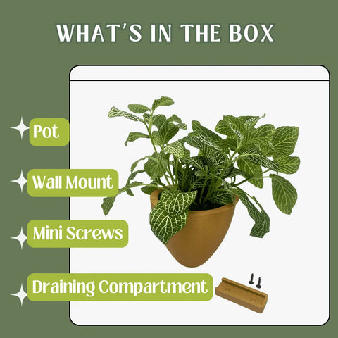 A Magic Wall Planters by Chatelet Manufacturing, featuring a green plant, self-watering reservoir, mounting bracket, two mini screws, and draining compartment shown on a green background with the text Whats in the box.
