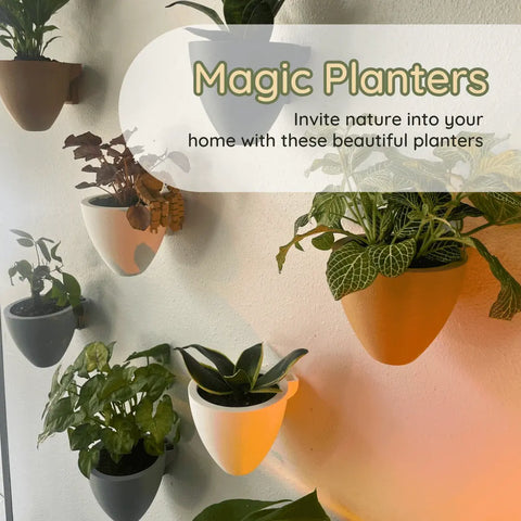 Magic Wall Planters by Chatelet Manufacturing: Easy-care, self-watering wall planters with internal water reservoir. Make plant care easy and invite nature indoors with these stylish planters.