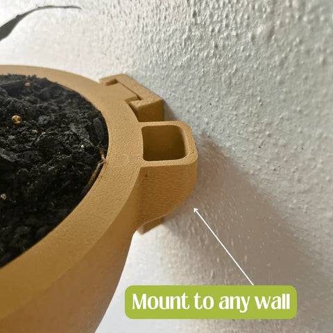Close-up of a tan Magic Wall Planter by Chatelet Manufacturing mounted on a white textured wall, highlighting its easy wall-mount design. The self-watering reservoir makes plant care simple and stylish for any home.