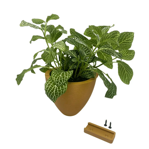 A green houseplant with white-veined leaves sits in a Chatelet Manufacturing Magic Wall Planter—an easy-care, self-watering wall planter with an internal water reservoir. Includes matching bracket and screws, all shown on a white background.