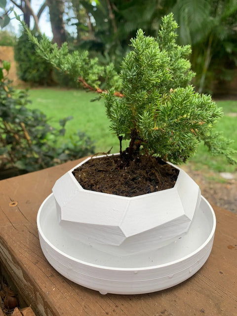 Set of 3 Self-Watering Planters 5.5 Inch – Biodegradable | Made in USA Chatelet Manufacturing 