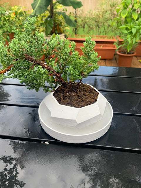 Set of 3 Self-Watering Planters With Spiral Block Design - Indoor/Outdoor Planter Pot for Succulents, Flowers, or Herbs - S/M/L Set Chatelet Manufacturing 