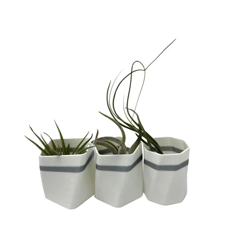 Set of 3 White Air Plant Planter Magnets 2 Inch – Made in USA Chatelet Manufacturing 