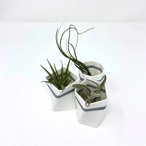 Set of 3 White Air Plant Planter Magnets 2 Inch – Made in USA Chatelet Manufacturing 