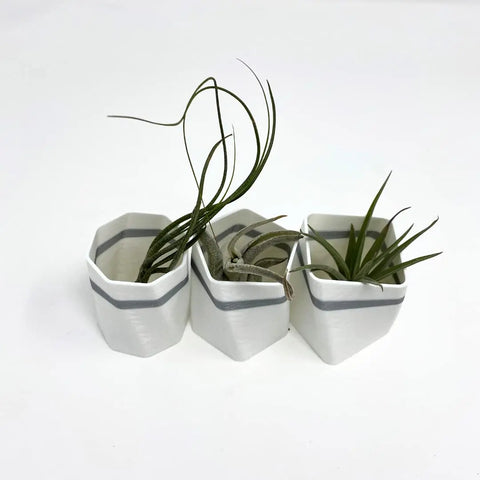Set of 3 White Air Plant Planter Magnets 2 Inch – Made in USA Chatelet Manufacturing 