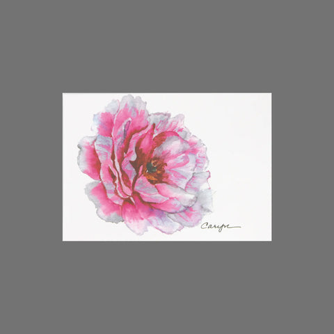 This pack of 8 JuLu Cards features a 3.5 x 5 watercolor of a pink and white flower on a plain background, with artist Careyns signature in the lower right corner—perfect for greeting cards. Product code: 10086.
