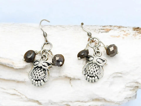 Silver Owl Charm Dangle Earrings With Gemstone Accents – Hypoallergenic Stainless Steel Hooks | Made in USA Michelle Marie Boutique  Earrings