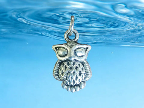 Silver Owl Pendant Charm With Stainless Steel Split Ring – Versatile Jewelry Accessory | Made in USA Michelle Marie Boutique  Charms and Pendants