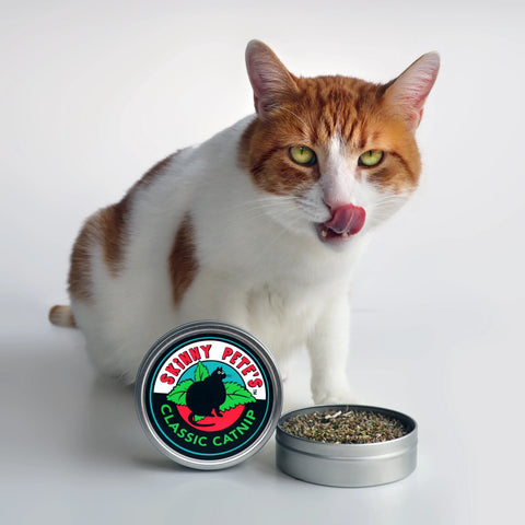 Skinny Pete’s Organic Catnip 25 Gram Tin – Premium Natural Cat Toy | Made in USA Skinny Pete's Gourmet Catnip  Pet Gift