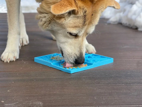 A large calm dog enjoys food from a SodaPup Sky Design EMat Enrichment Lick Mat on a wooden deck with snowy patches, offering entertainment and supporting digestive health.