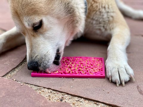 A dog lies on a stone patio, licking the SodaPup Small Pink Flower Power EMat Lick Mat from the Small Pink Flower Power & Small Yellow Honeycomb EMat Bundle, an enrichment toy that promotes healthy teeth and gums.