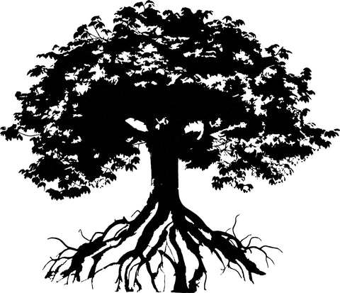 Small Tree Wall Decal for Kids Rooms – Easy Apply – Made in USA Chatelet Manufacturing 