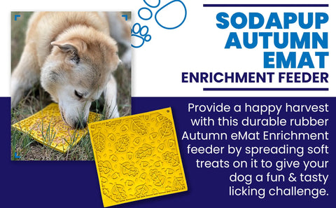 A dog enjoys the SodaPup Autumn Design EMat Enrichment Lick Mat on grass. Spread soft treats for a fun, tasty, and durable enrichment challenge that keeps your canine happy and engaged.