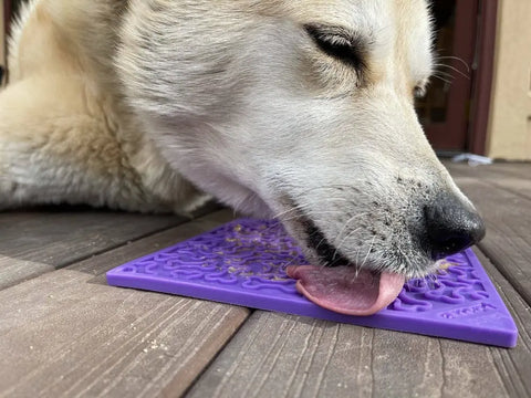 A light-colored dog enjoys the benefits of the SodaPup Bones Design EMat Enrichment Lick Mat, licking it on a wooden deck and appearing relaxed and focused.