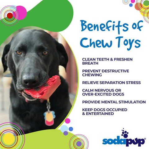 A black dog holds the Cherry Pie EChew Ultra Durable Nylon Dog Chew Toy and Treat Holder by SodaPup. Text highlights benefits for power chewers: clean teeth, stress relief, fresh breath, mental stimulation, and entertainment. The SodaPup logo appears bottom right with colorful circles.