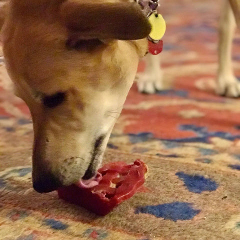 A dog chews on the SodaPup Cherry Pie EChew Ultra Durable Nylon Dog Chew Toy and Treat Holder atop a colorful, patterned carpet.