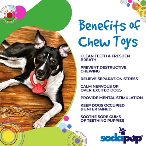 A black and white dog lies on a wooden floor, chewing the SodaPup Diamond Ring Durable Teething Ring. Text highlights benefits: cleans teeth, prevents destructive chewing, relieves stress, and provides stimulation. The SodaPup logo is visible.