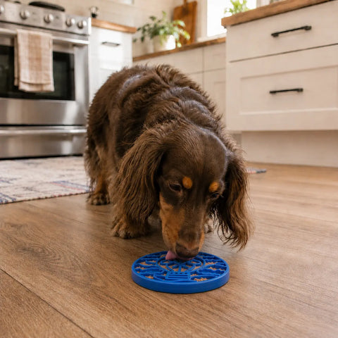 SodaPup Durable Nylon Dog Enrichment Feeder – Air eCoin Design | Made in USA SodaPup  ECOIN