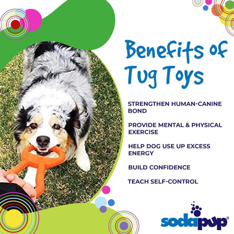 A dog plays tug-of-war outdoors with the Pop Top Rubber Tug Toy for Interactive Play by SodaPup. Benefits—bonding, exercise, energy use, confidence, and self-control—are listed on the right. The veterinarian approved SodaPup logo is at the bottom.