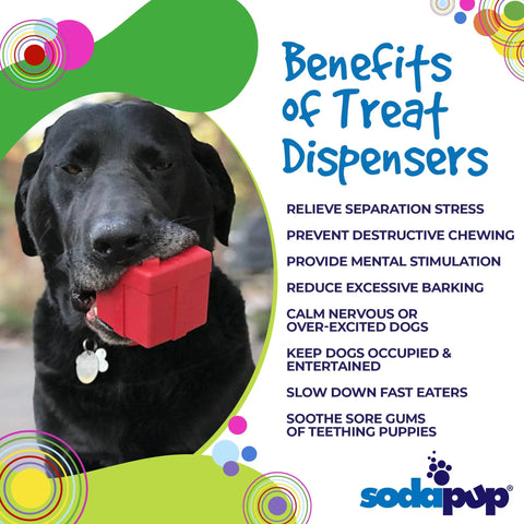A black labrador holds the SodaPup Gift Box EDispenser Durable Rubber Chew Toy & Treat Dispenser in its mouth. Text highlights treat dispenser benefits for dogs. The SodaPup logo and colorful circles create a playful look.
