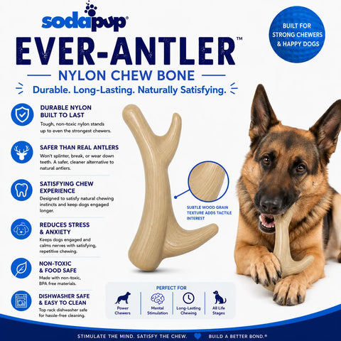 SodaPup Ever Antler Dog Chew Toy 7.5 Inch Large – Durable Nylon Bone Alternative | Made in USA SodaPup  Nylon Dog Toys