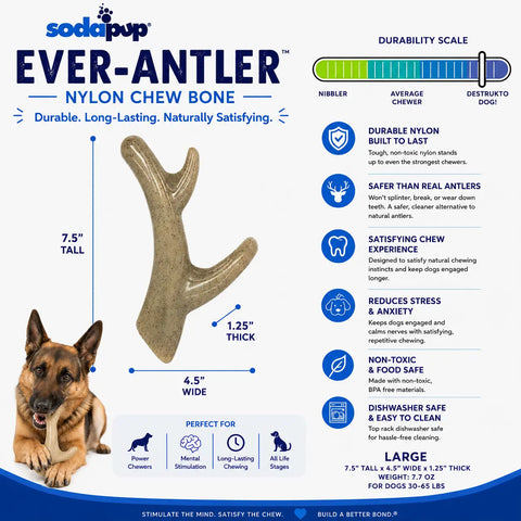 SodaPup Ever Antler Dog Chew Toy 7.5 Inch Large – Durable Nylon Bone Alternative | Made in USA SodaPup  Nylon Dog Toys