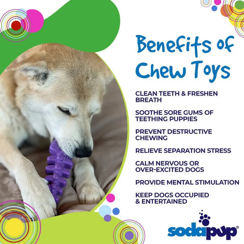 A dog chews on a purple Fish Bone Ultra Durable Nylon Chew Toy from SodaPup. Text highlights benefits for power chewers: supports dental health, soothes gums, prevents destruction, reduces problem behaviors, and keeps dogs busy.