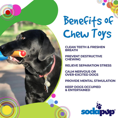 A black dog holds the Hot Dog Ultra Durable Nylon Dog Chew Toy in its mouth. Text explains how this SodaPup toy reduces problem behaviors. The SodaPup logo and colorful circles decorate the bottom right of the image.