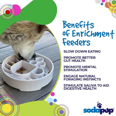 A dog eats from a white SodaPup Java Design EBowl Enrichment Slow Feeder Bowl on a wooden floor. Benefits: slows eating, promotes gut health, mental stimulation, foraging instincts, and saliva production. SodaPup logo below.