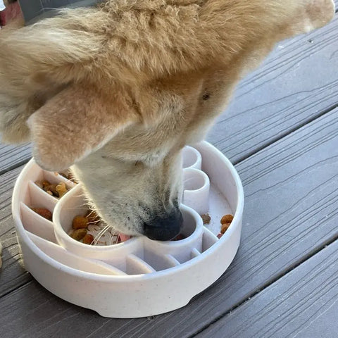 A light brown dog eats kibble from a white SodaPup Java Design EBowl Enrichment Slow Feeder Bowl on a wooden deck, head down and focused, enjoying enrichment during mealtime.