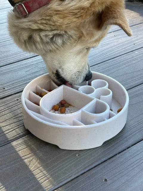 A light-furred dog eats from a white SodaPup Java Design EBowl Enrichment Slow Feeder Bowl, which features partitions to separate kibble, on a wooden floor.