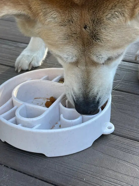 A dog enjoys kibble from the SodaPup Java Design EBowl Enrichment Slow Feeder Bowl on a wooden surface, using its nose and paws to eat slowly and benefit from this innovative feeder’s enrichment features.