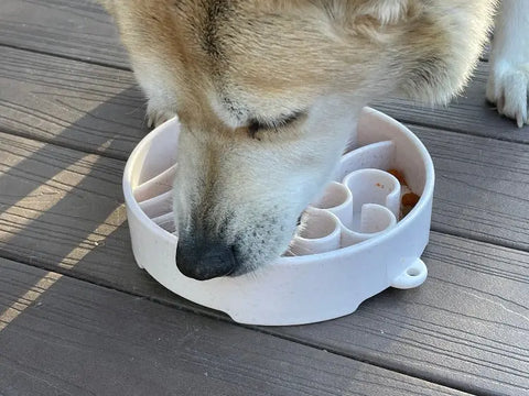 A close-up of a dog eating from a white SodaPup Java Design EBowl Enrichment Slow Feeder Bowl for Dogs with ridges, placed on a wooden deck.