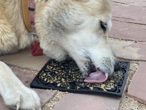 A light brown dog with a red collar relaxes on stone tiles, licking spreadable food from the SodaPup Zombie Design Emat Enrichment Lick Mat—a calming toy that helps relieve anxiety.