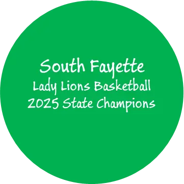 South Fayette Lions 3 Inch Ornament – Custom Holiday Decoration – Gift-Ready Box | Made in USA Michelle Marie Boutique  Ornaments