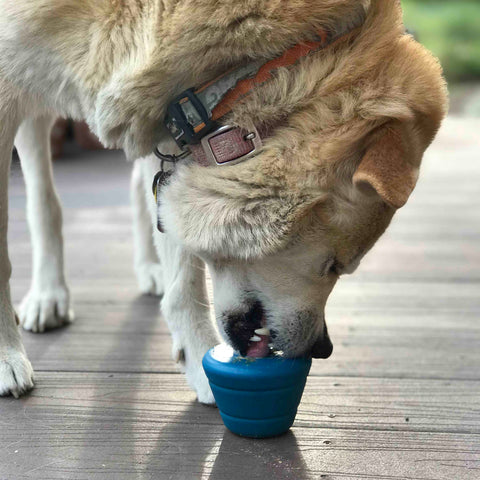 Space Capsule EDispenser: Ultra-Durable Chew Toy & Enrichment Feeder SodaPup  Rubber Dog Toys