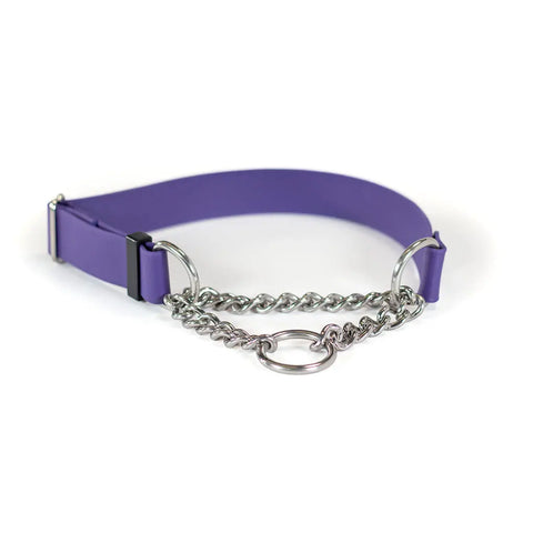 Sparky's Adventure Martingale Collar Auburn Leathercrafters  item