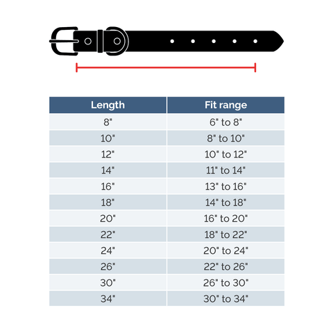 Sparky's Choice Standard Buckle Collar Auburn Leathercrafters  item