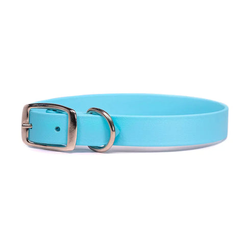 Sparky's Choice Standard Buckle Dog Collar – Durable Odor-Resistant BioThane® | Made in USA by Auburn Leathercrafters Auburn Leathercrafters  item