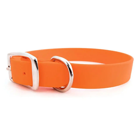 Sparky's Choice Standard Buckle Dog Collar – Durable Odor-Resistant BioThane® | Made in USA by Auburn Leathercrafters Auburn Leathercrafters  item