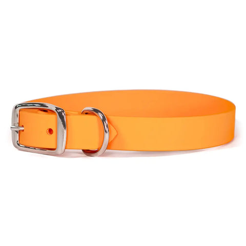Sparky's Choice Standard Buckle Dog Collar – Durable Odor-Resistant BioThane® | Made in USA by Auburn Leathercrafters Auburn Leathercrafters  item